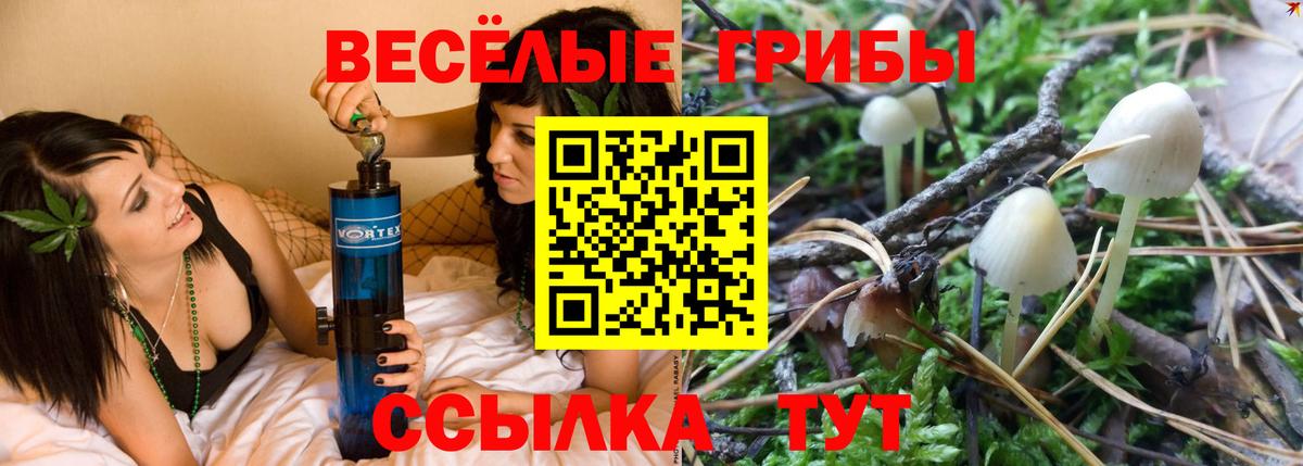 Мурманск  Галлюциногенные грибы Magic Shrooms  Вход с VPN 